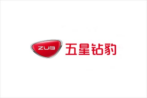 金狮贵宾会电池合作伙伴 五星钻豹电动车